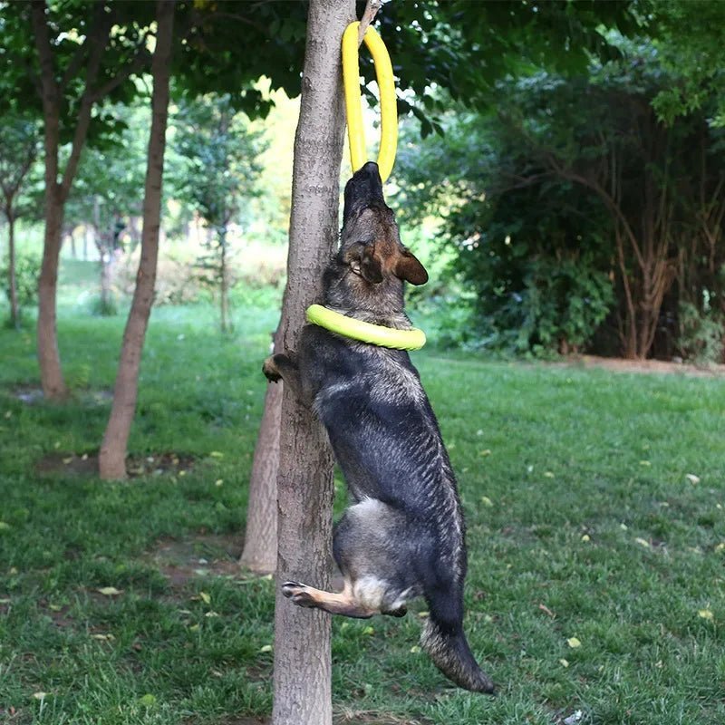 Jouet à mâchouiller - Chien Précieux