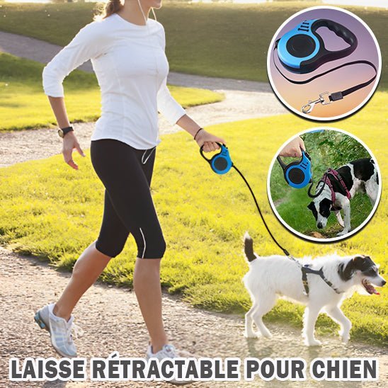 Laisse rétractable - Chien Précieux