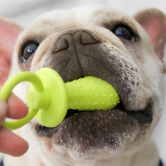 Mâchouille - Dents ™ / jouet - Chien Précieux