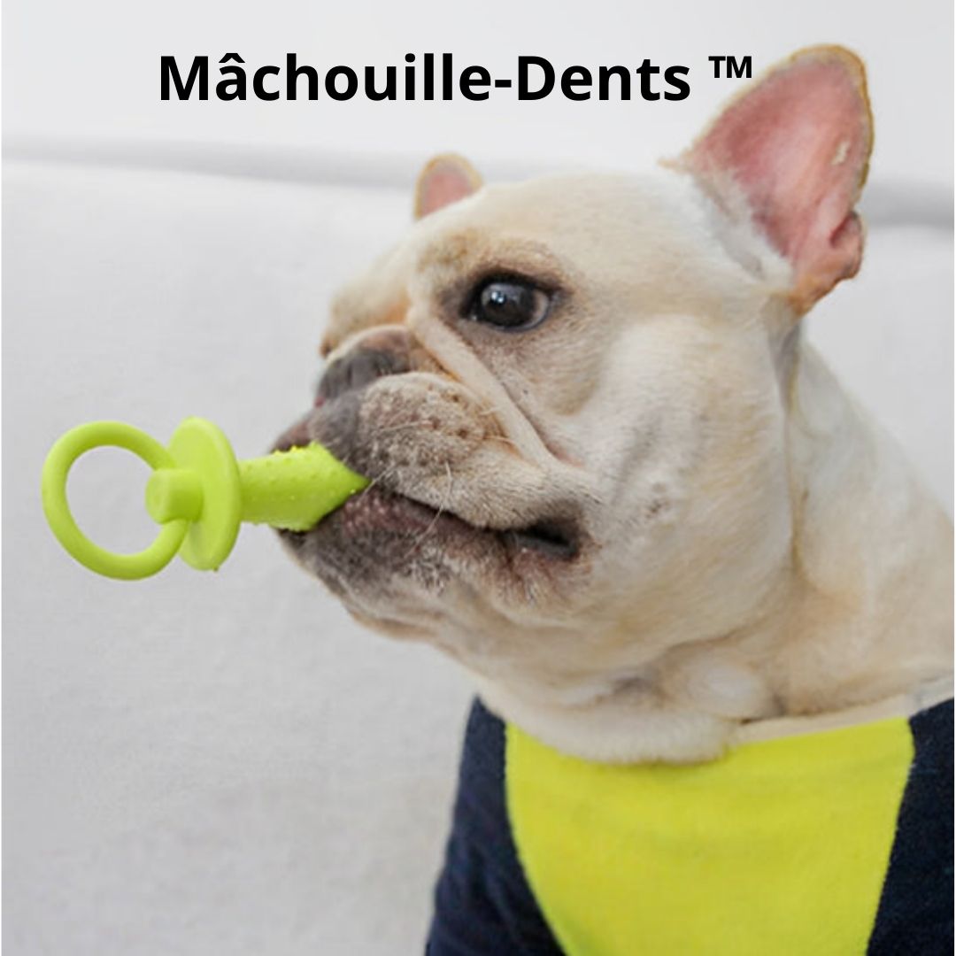 Mâchouille - Dents ™ / jouet - Chien Précieux