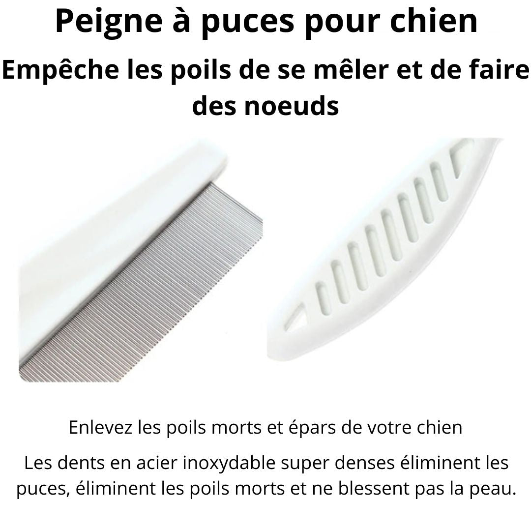 Peigne anti - puces - Chien Précieux