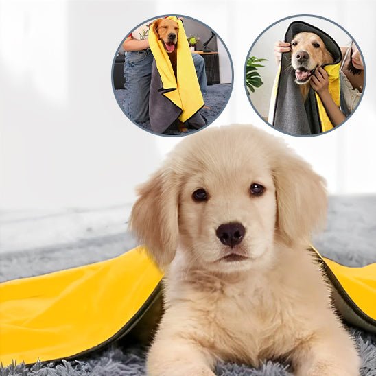 Serviette absorbante pour chien - Chien Précieux