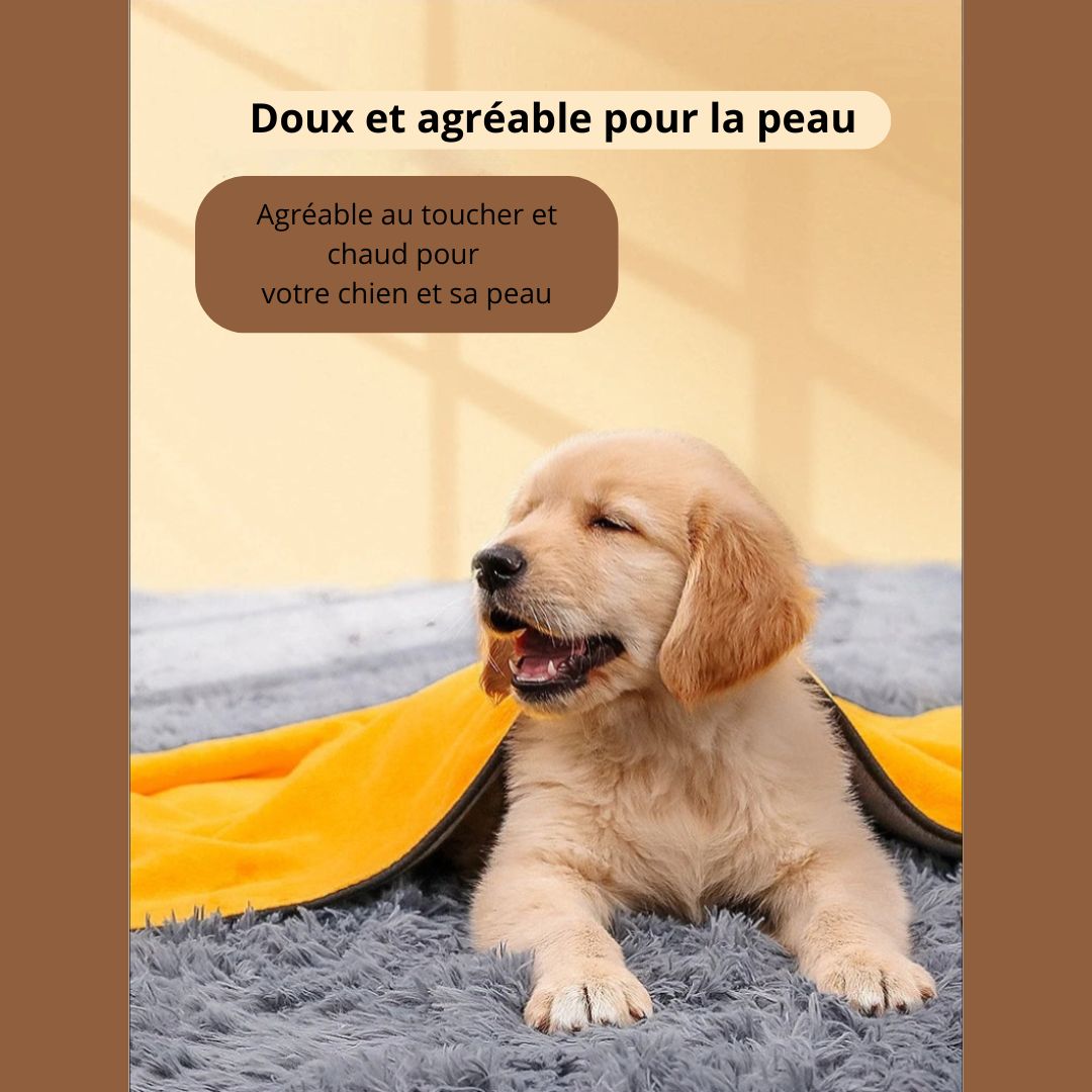 Serviette absorbante pour chien - Chien Précieux