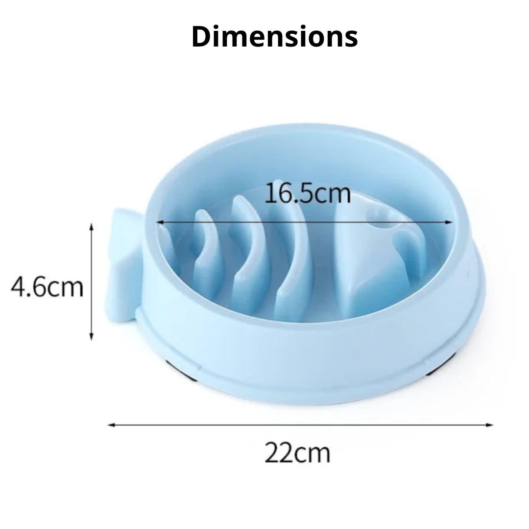 Slow - Bowl™ - Chien Précieux