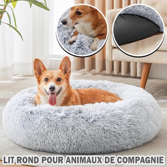 SoftCloud™ - coussin pour chien comfortable - Chien Précieux