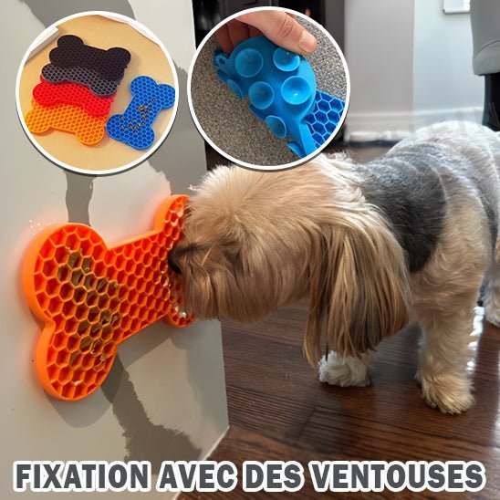 Tapis de léchage à ventouse - Chien Précieux