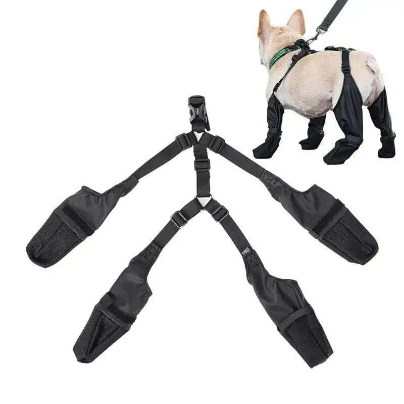 Bottes chien 